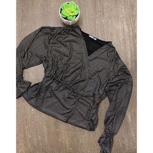 Zara W/B Collection Organza Top